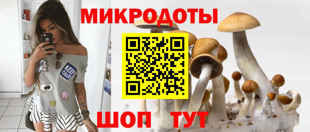 Галлюциногенные грибы мухоморы Кольчугино